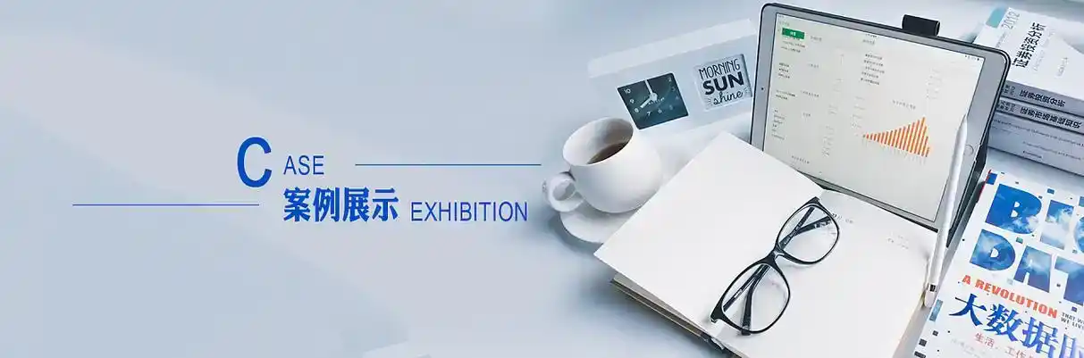 武都县软件开发